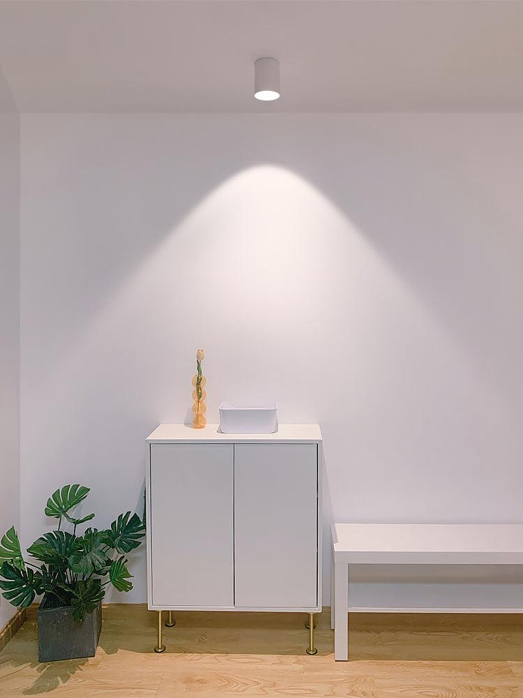 Vardenlyn Aluminium Ceiling Light-Moonnatur