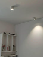 Vardenlyn Aluminium Ceiling Light-Moonnatur