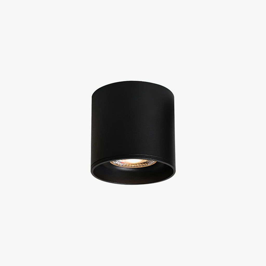 Vardenlyn Aluminium Ceiling Light-Moonnatur