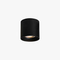 Vardenlyn Aluminium Ceiling Light-Moonnatur