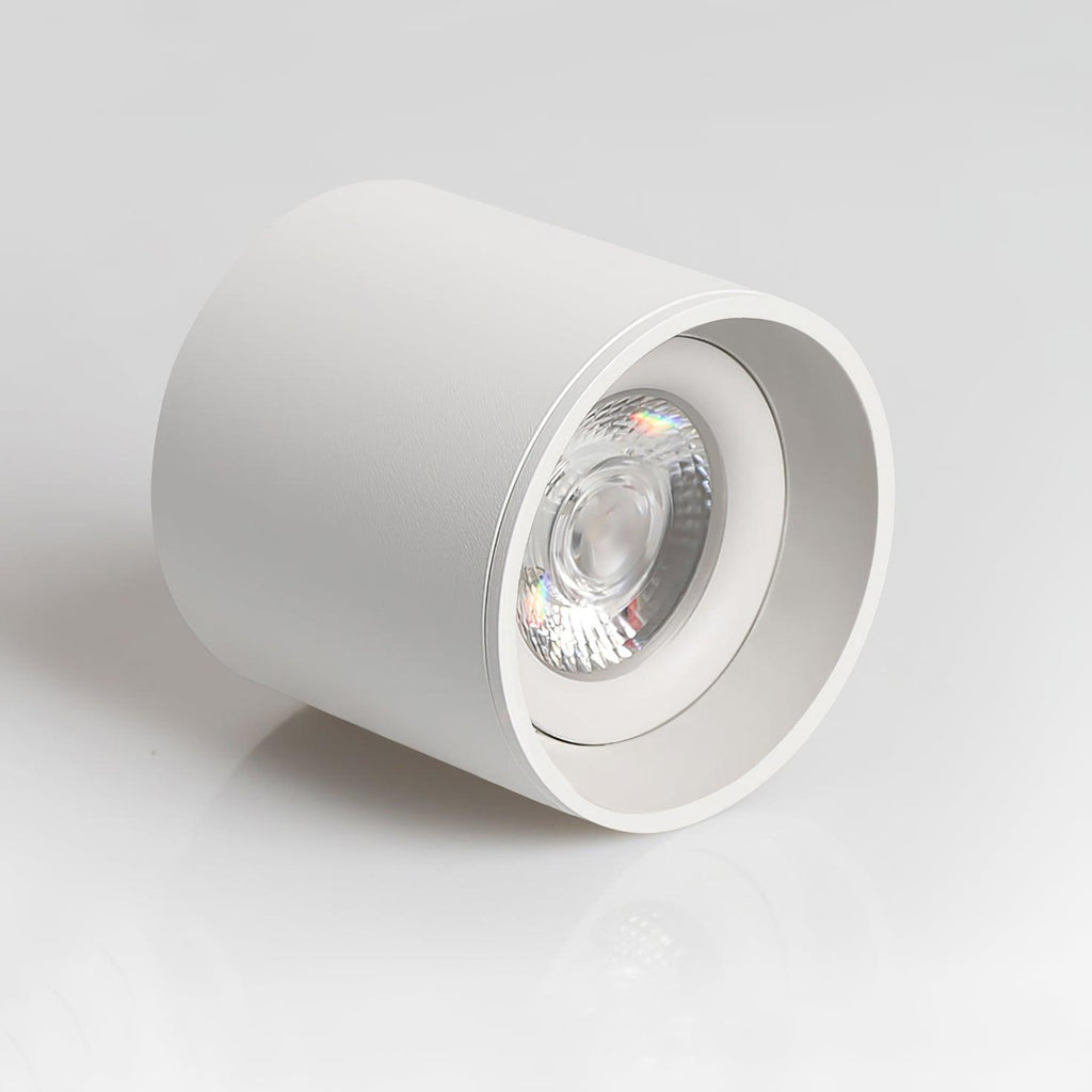 Vardenlyn Aluminium Ceiling Light-Moonnatur