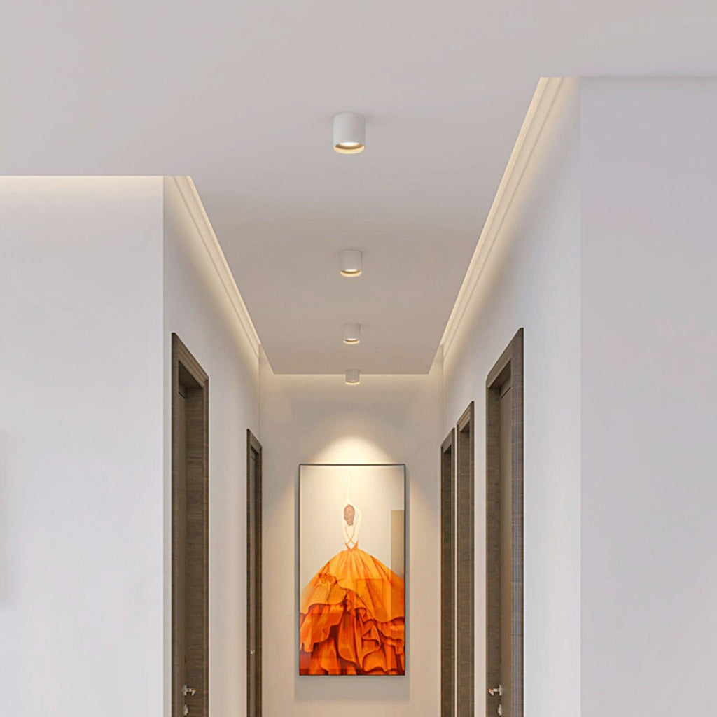 Vardenlyn Aluminium Ceiling Light-Moonnatur