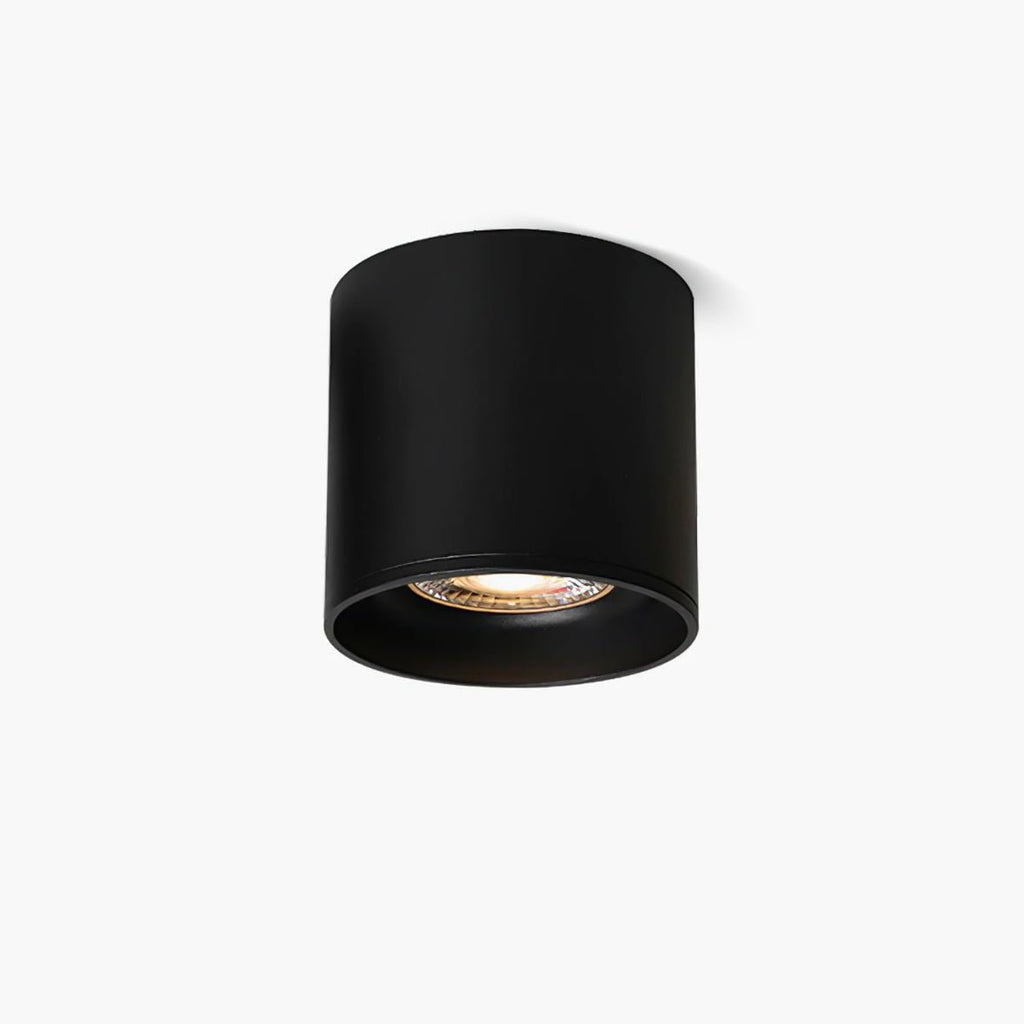 Vardenlyn Aluminium Ceiling Light-Moonnatur