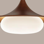 Jorrenley Acrylic Pendant Light-Moonnatur