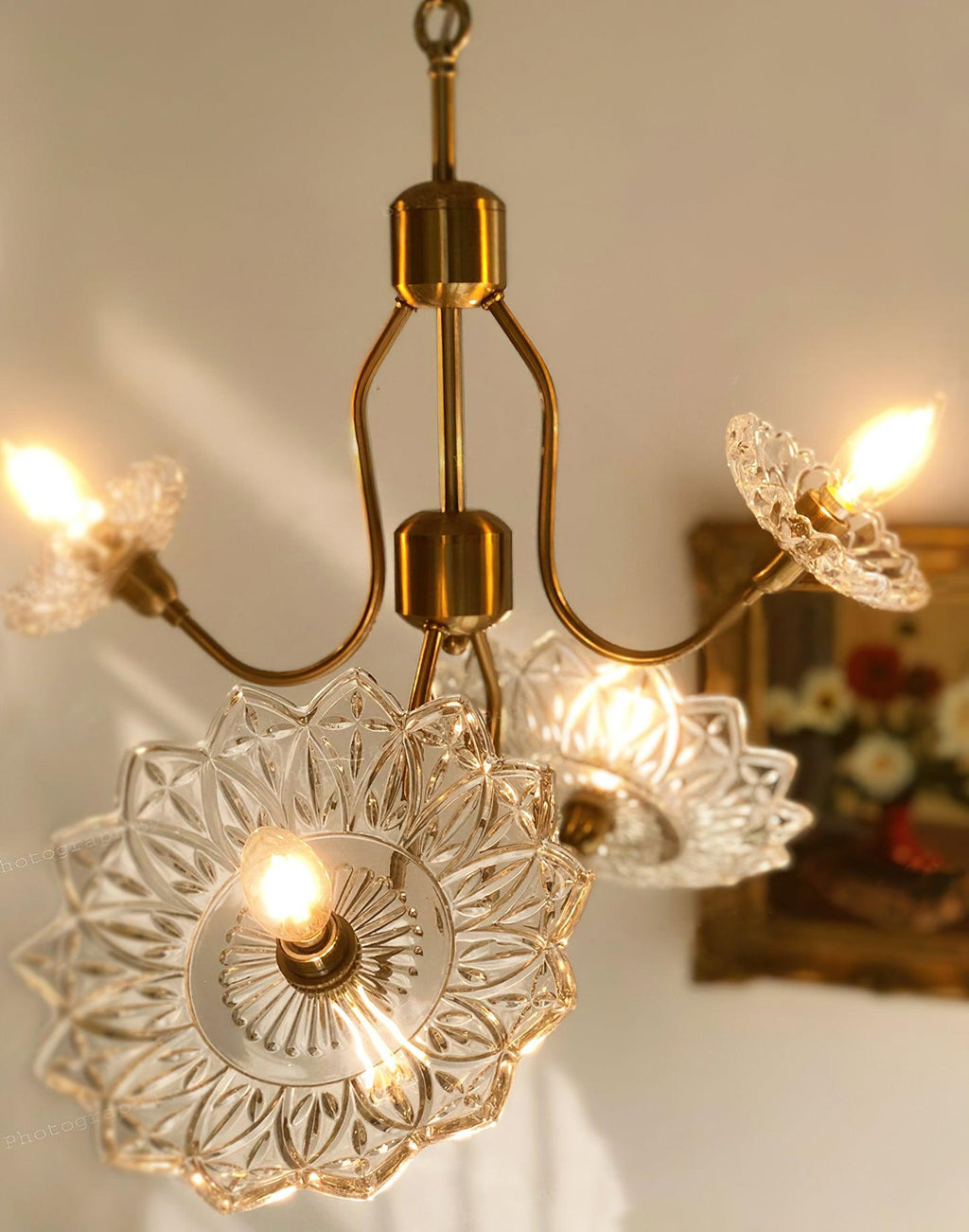 Seldenelle Glass Chandelier-Moonnatur