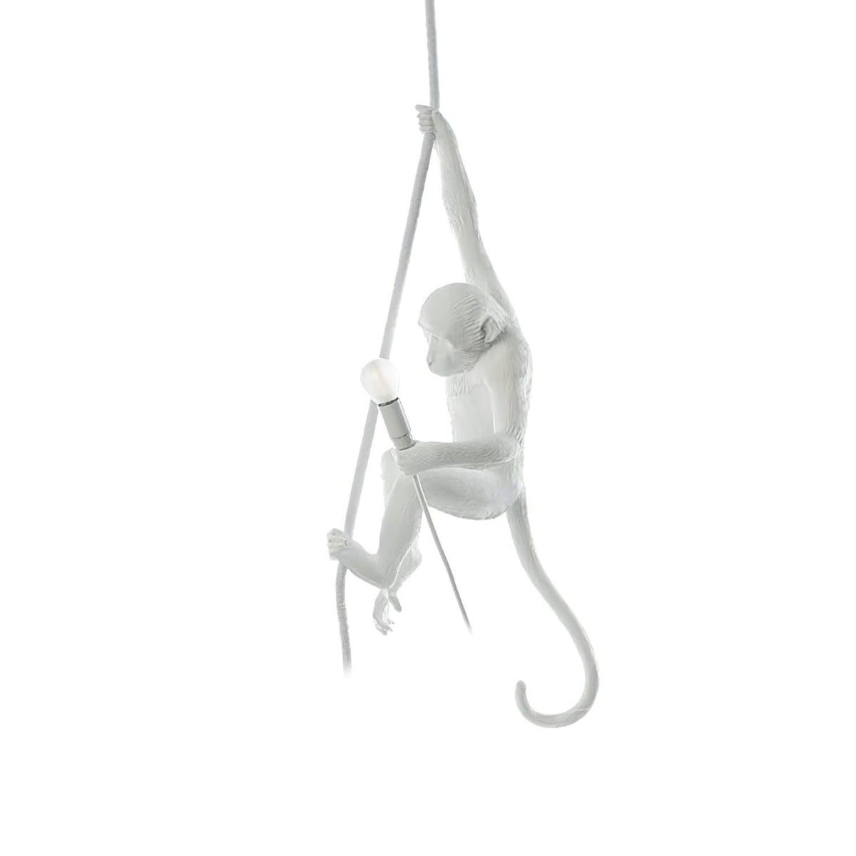 Cardenera Resin Pendant Light-Moonnatur