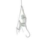 Cardenera Resin Pendant Light-Moonnatur
