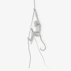 Cardenera Resin Pendant Light-Moonnatur