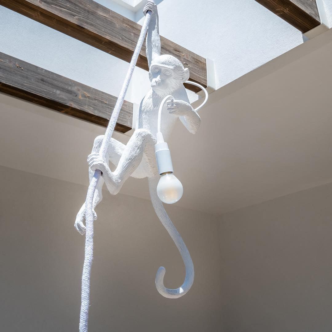 Cardenera Resin Pendant Light-Moonnatur