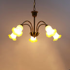 Hadrenaelle Glass Chandelier-Moonnatur