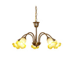 Hadrenaelle Glass Chandelier-Moonnatur