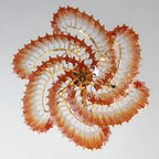 Junera Glass Chandelier-Moonnatur