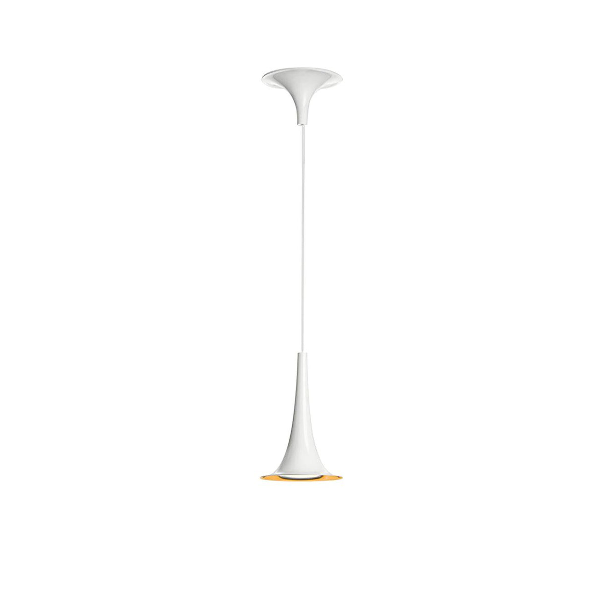 Evelune Acrylic Pendant Light-Moonnatur