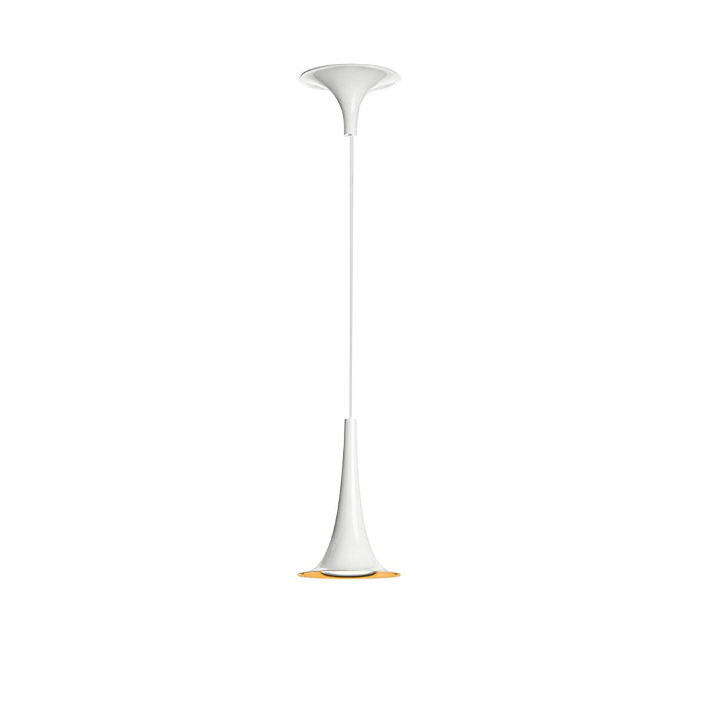 Evelune Acrylic Pendant Light-Moonnatur
