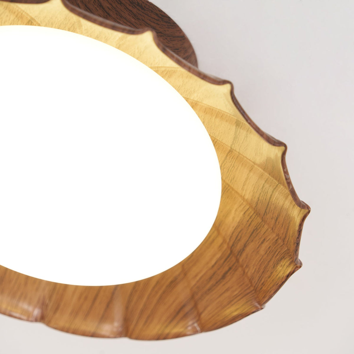 Ravensdale PE Ceiling Light-Moonnatur