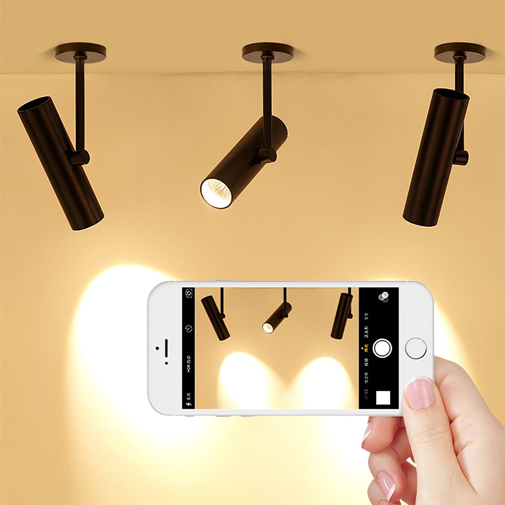 Calverin Aluminium Ceiling Light-Moonnatur