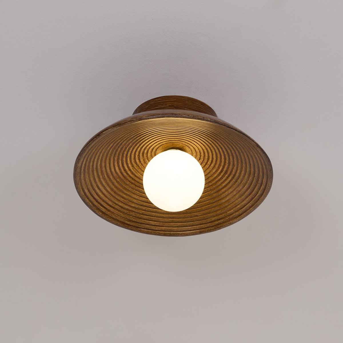 Brenelelia Polymer Ceiling Light-Moonnatur
