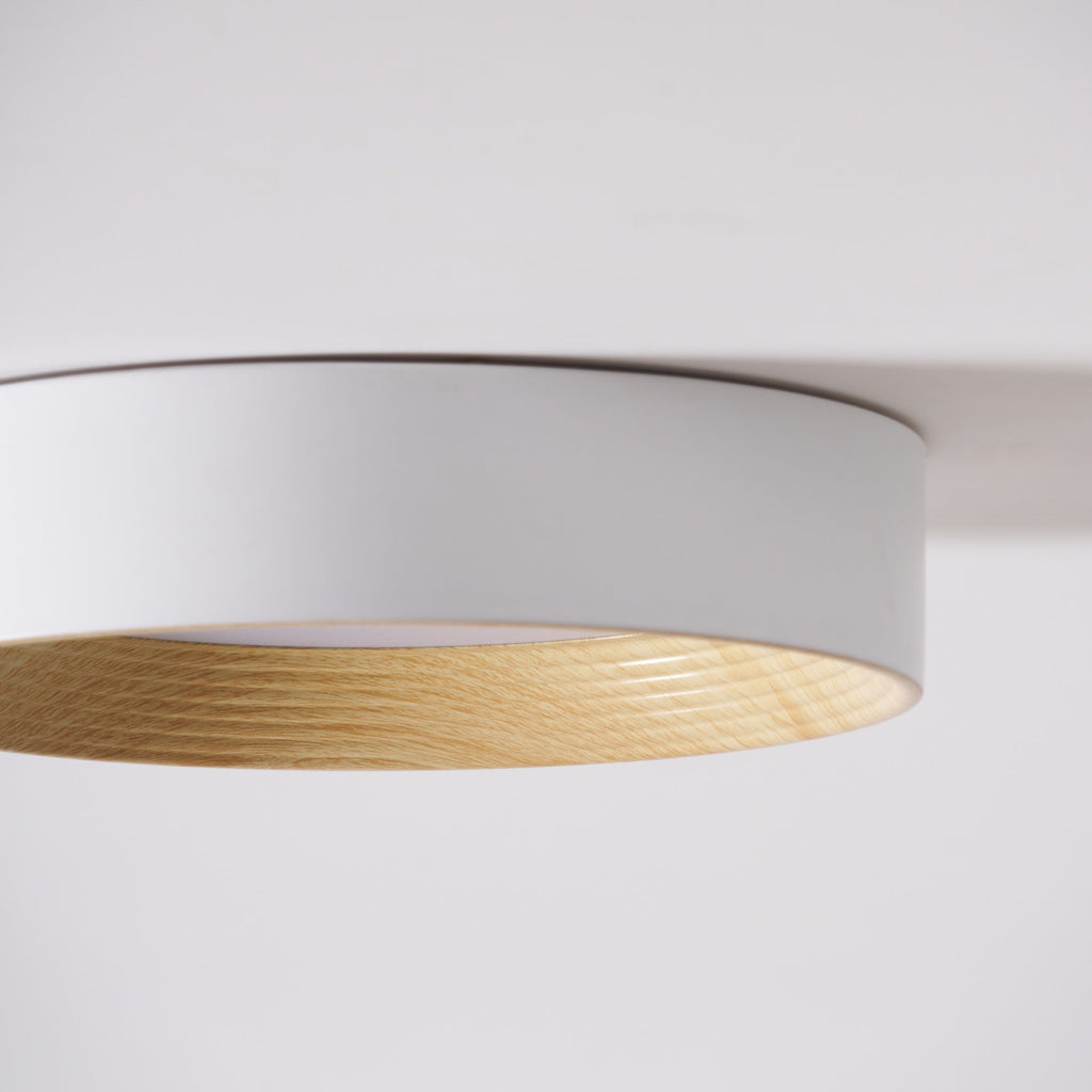 Jasora Acrylic Ceiling Light-Moonnatur
