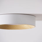 Jasora Acrylic Ceiling Light-Moonnatur