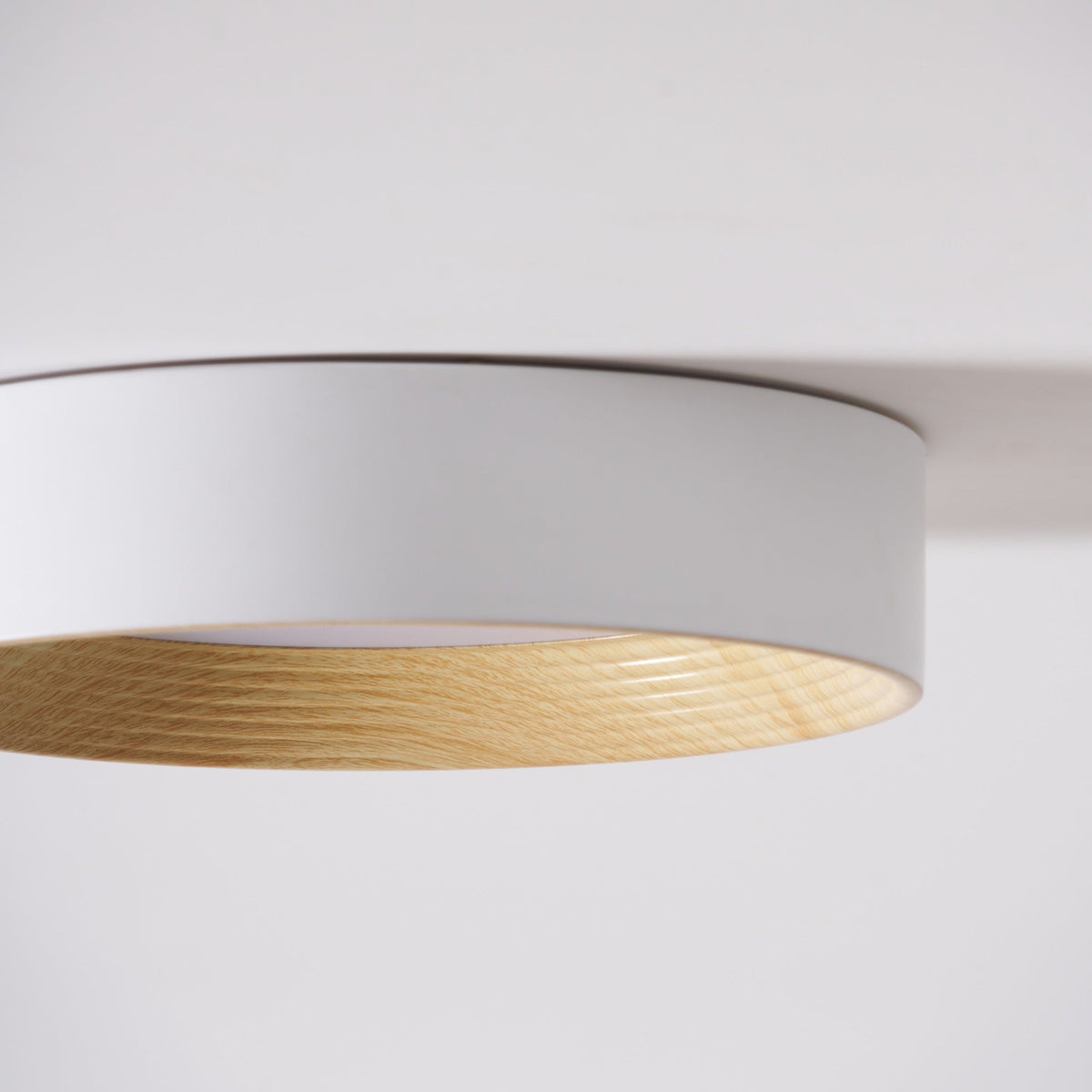 Jasora Acrylic Ceiling Light-Moonnatur