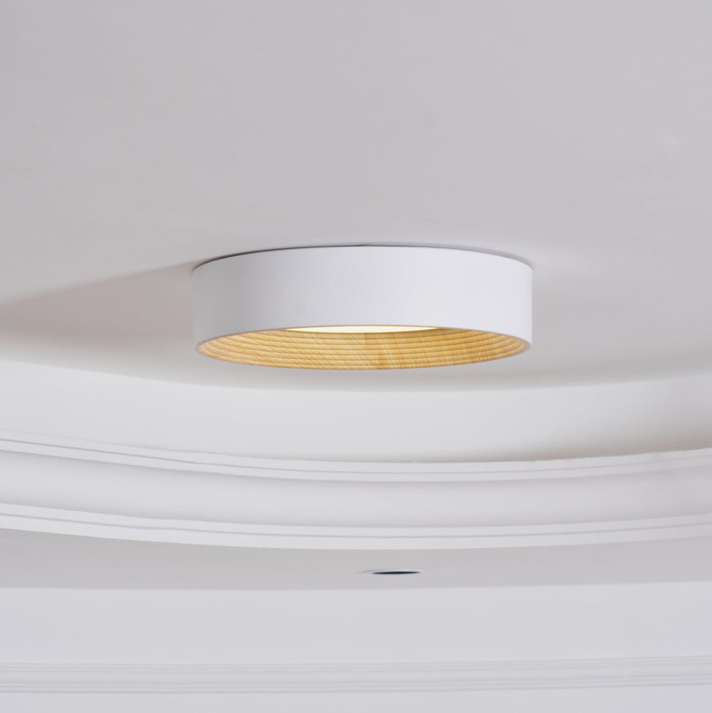 Jasora Acrylic Ceiling Light-Moonnatur