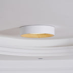 Jasora Acrylic Ceiling Light-Moonnatur