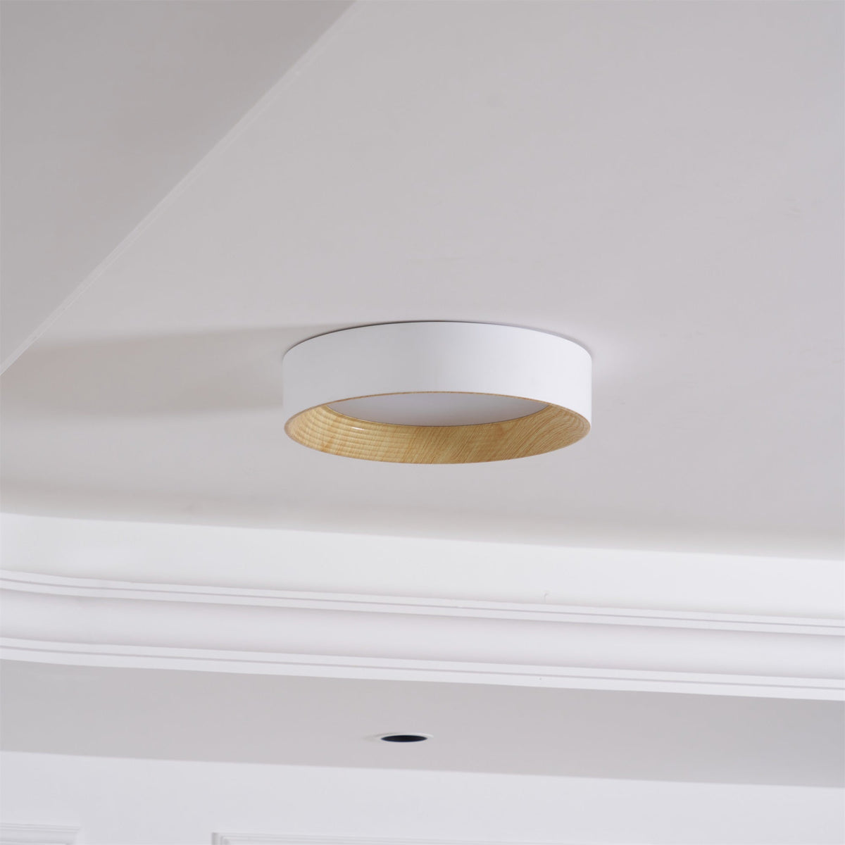 Jasora Acrylic Ceiling Light-Moonnatur