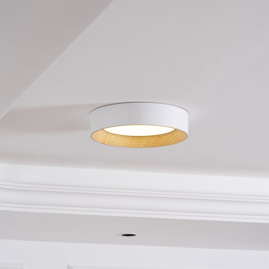 Jasora Acrylic Ceiling Light-Moonnatur