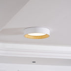 Jasora Acrylic Ceiling Light-Moonnatur