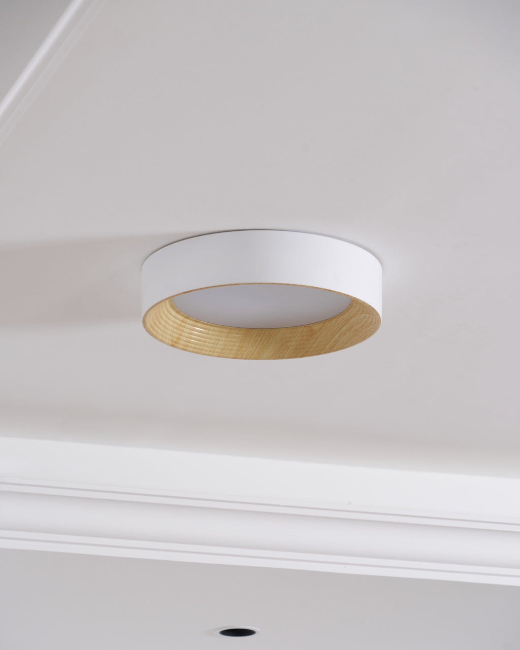 Jasora Acrylic Ceiling Light-Moonnatur