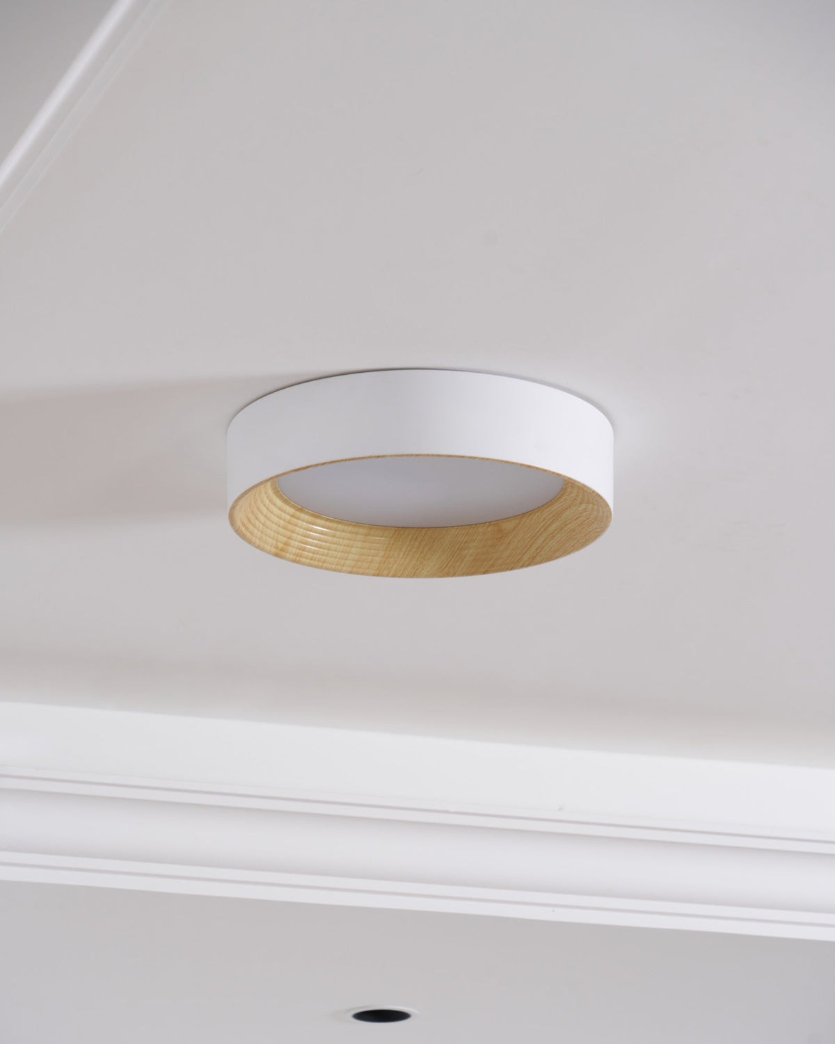 Jasora Acrylic Ceiling Light-Moonnatur