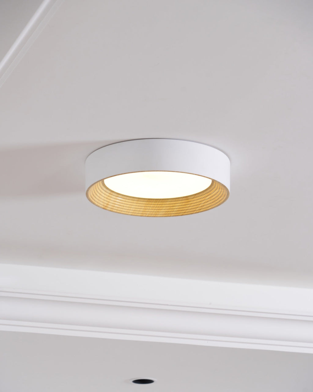 Jasora Acrylic Ceiling Light-Moonnatur