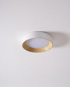 Jasora Acrylic Ceiling Light-Moonnatur