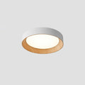 Jasora Acrylic Ceiling Light-Moonnatur