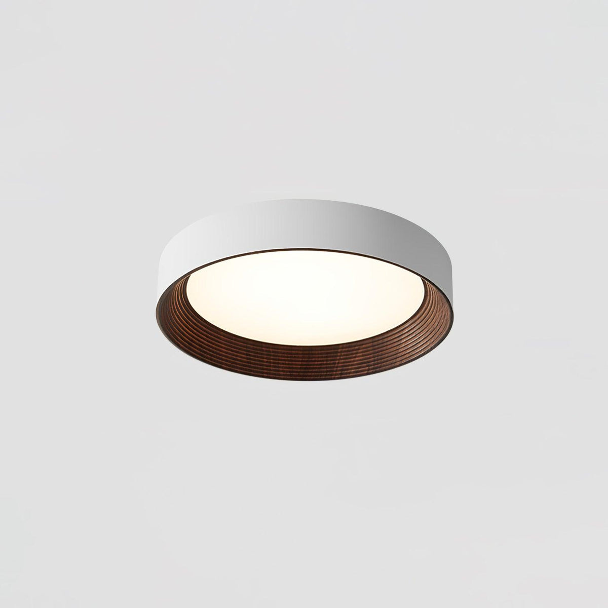Jasora Acrylic Ceiling Light-Moonnatur