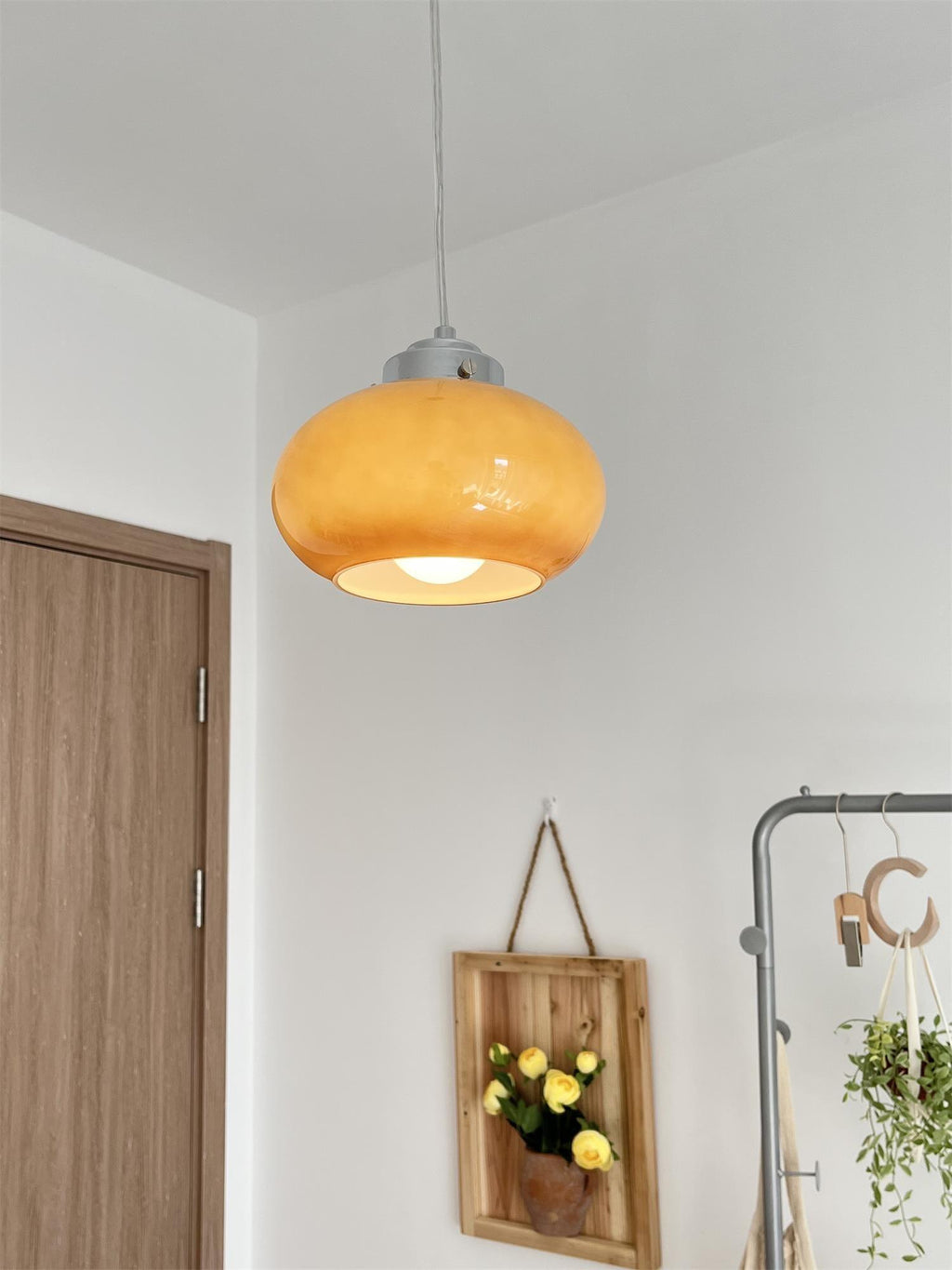 Brackera Glass Pendant Light-Moonnatur