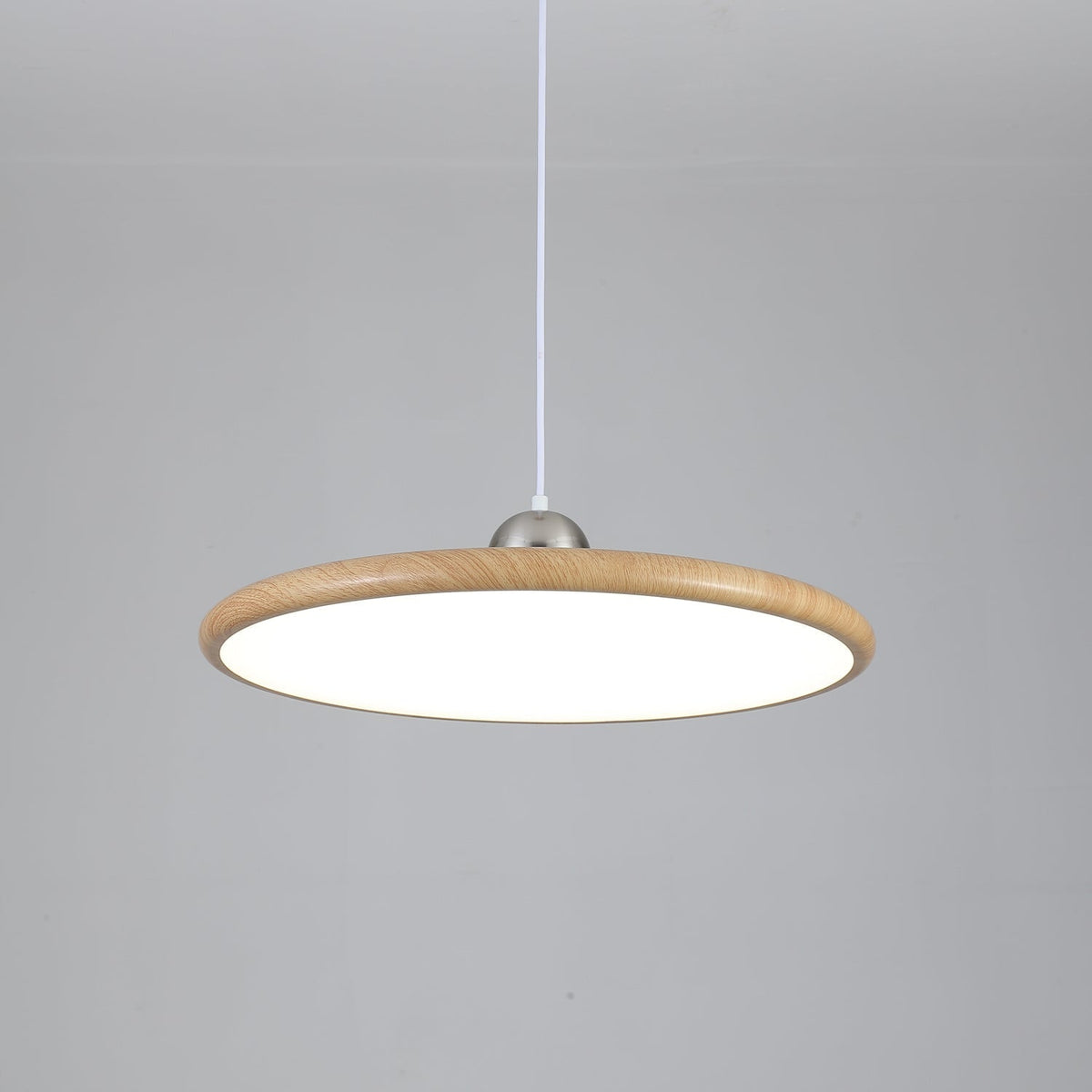Corenelia Acrylic Pendant Light-Moonnatur