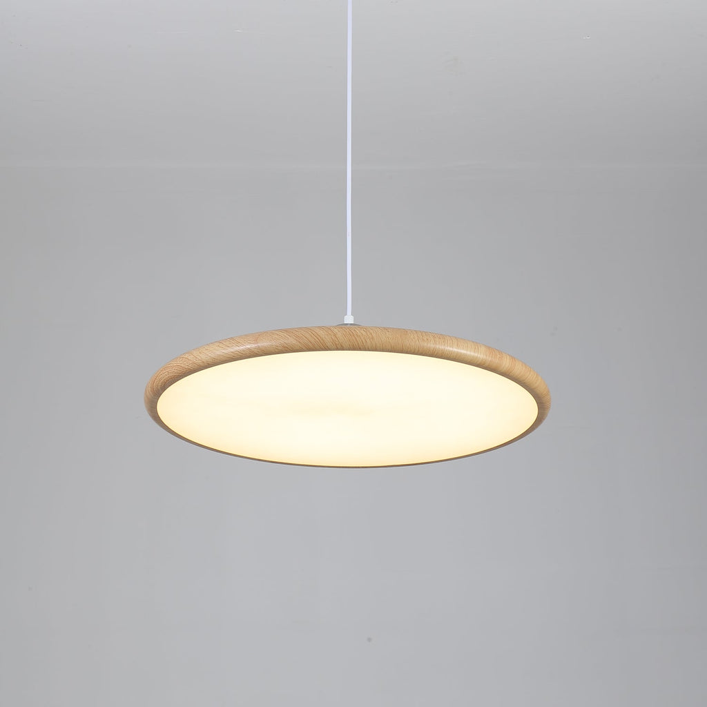 Corenelia Acrylic Pendant Light-Moonnatur