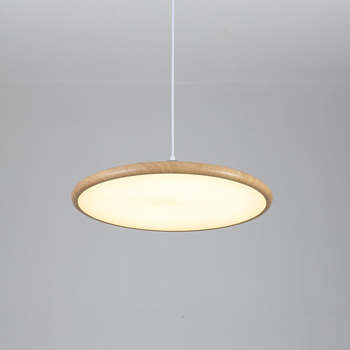 Corenelia Acrylic Pendant Light-Moonnatur
