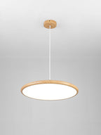 Corenelia Acrylic Pendant Light-Moonnatur