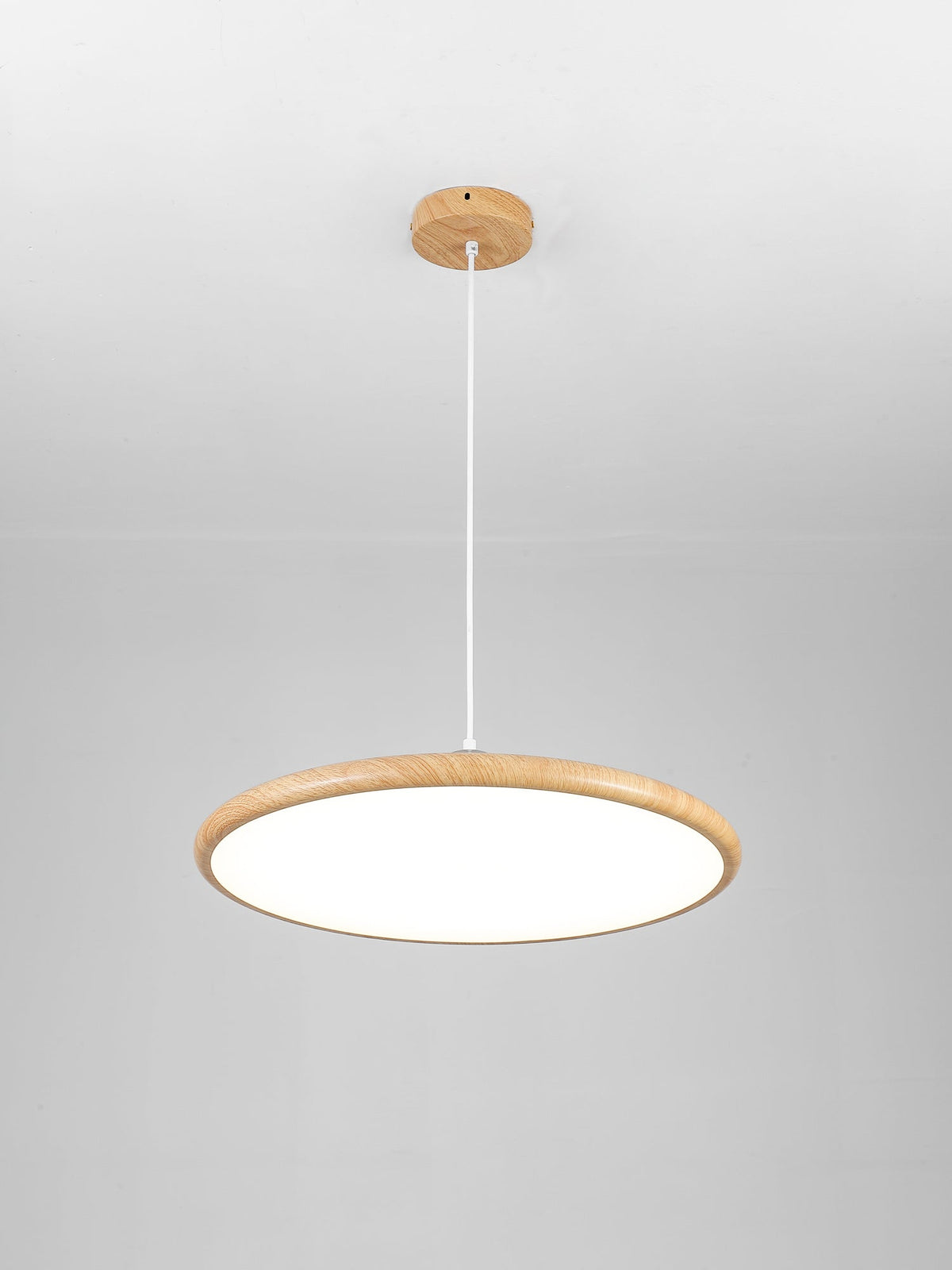 Corenelia Acrylic Pendant Light-Moonnatur