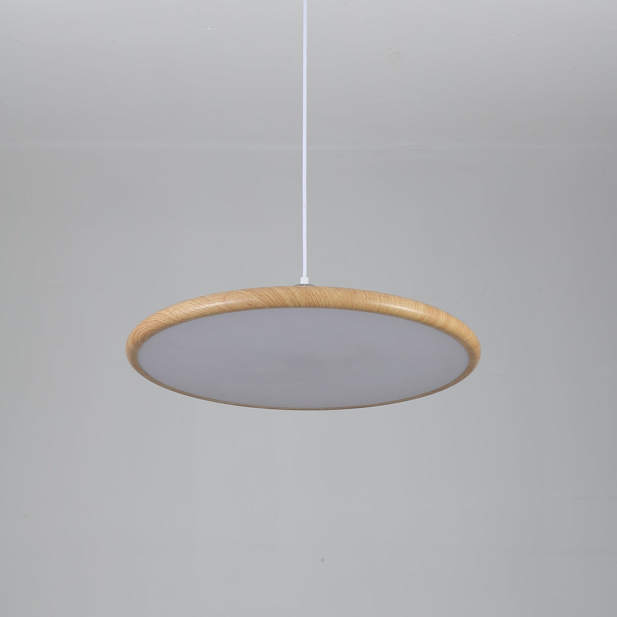 Corenelia Acrylic Pendant Light-Moonnatur