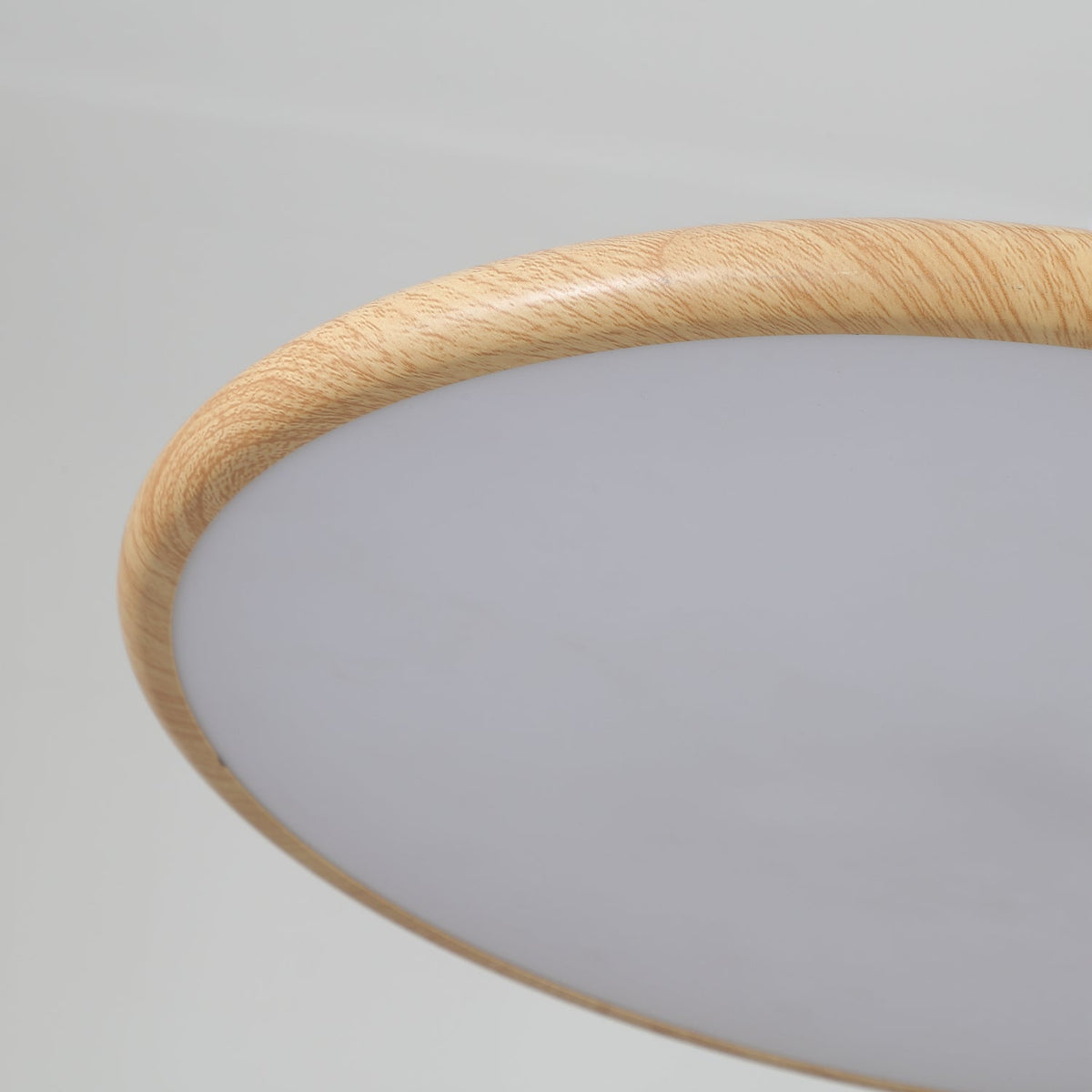Corenelia Acrylic Pendant Light-Moonnatur