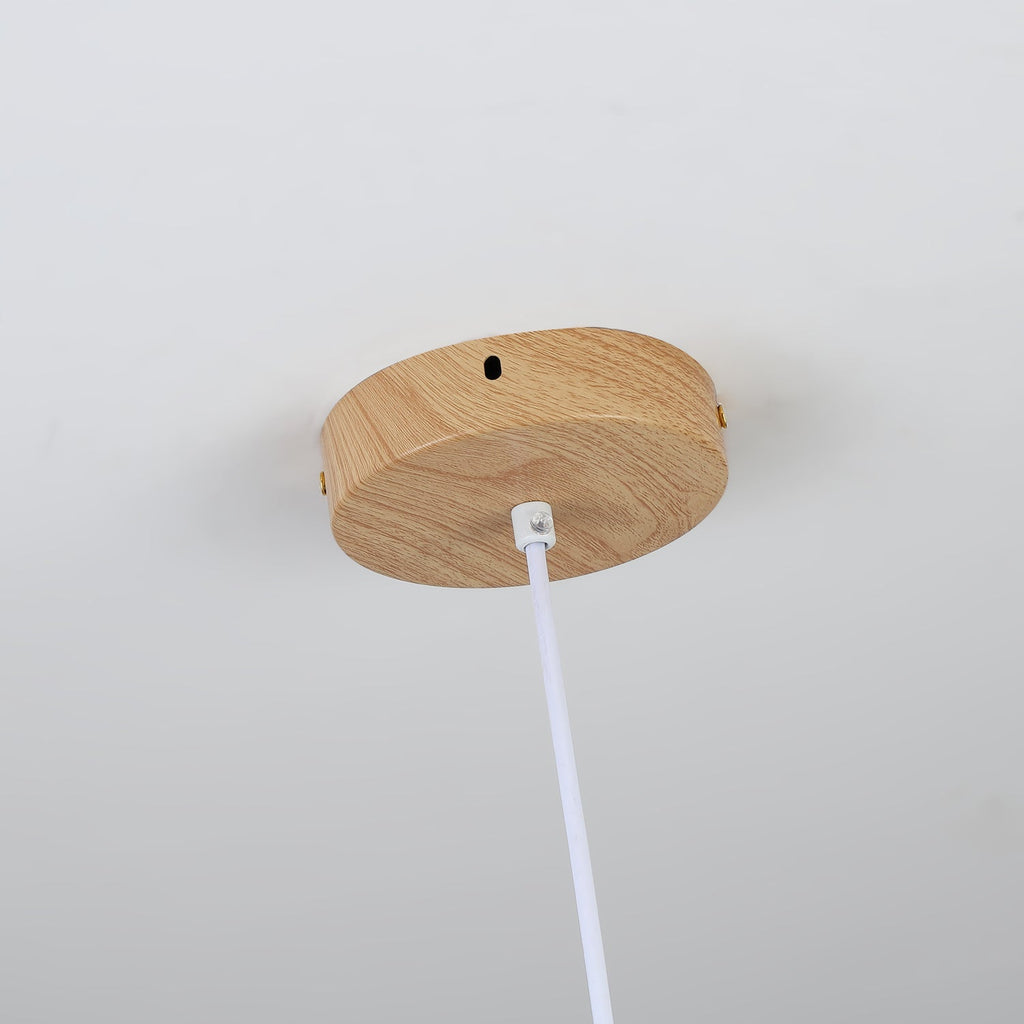 Corenelia Acrylic Pendant Light-Moonnatur