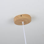Corenelia Acrylic Pendant Light-Moonnatur