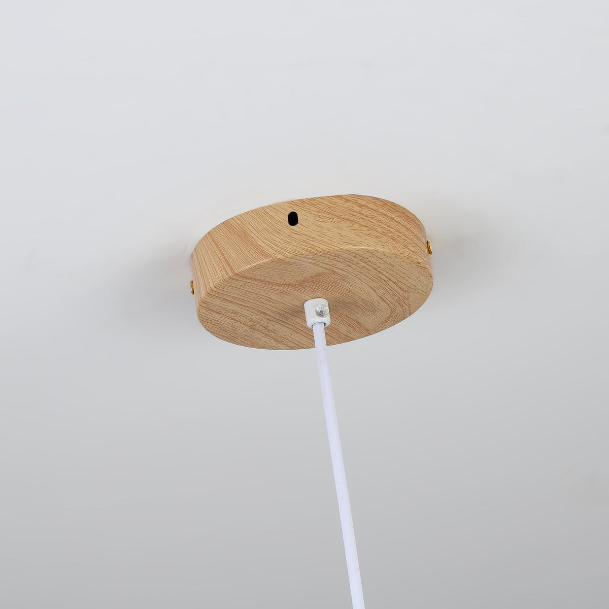 Corenelia Acrylic Pendant Light-Moonnatur