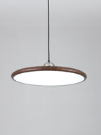 Corenelia Acrylic Pendant Light-Moonnatur