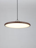Corenelia Acrylic Pendant Light-Moonnatur