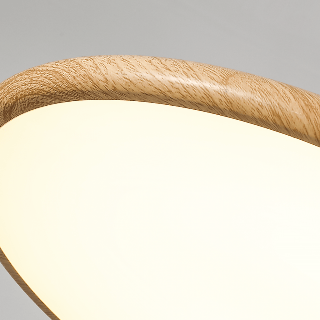 Corenelia Acrylic Pendant Light-Moonnatur