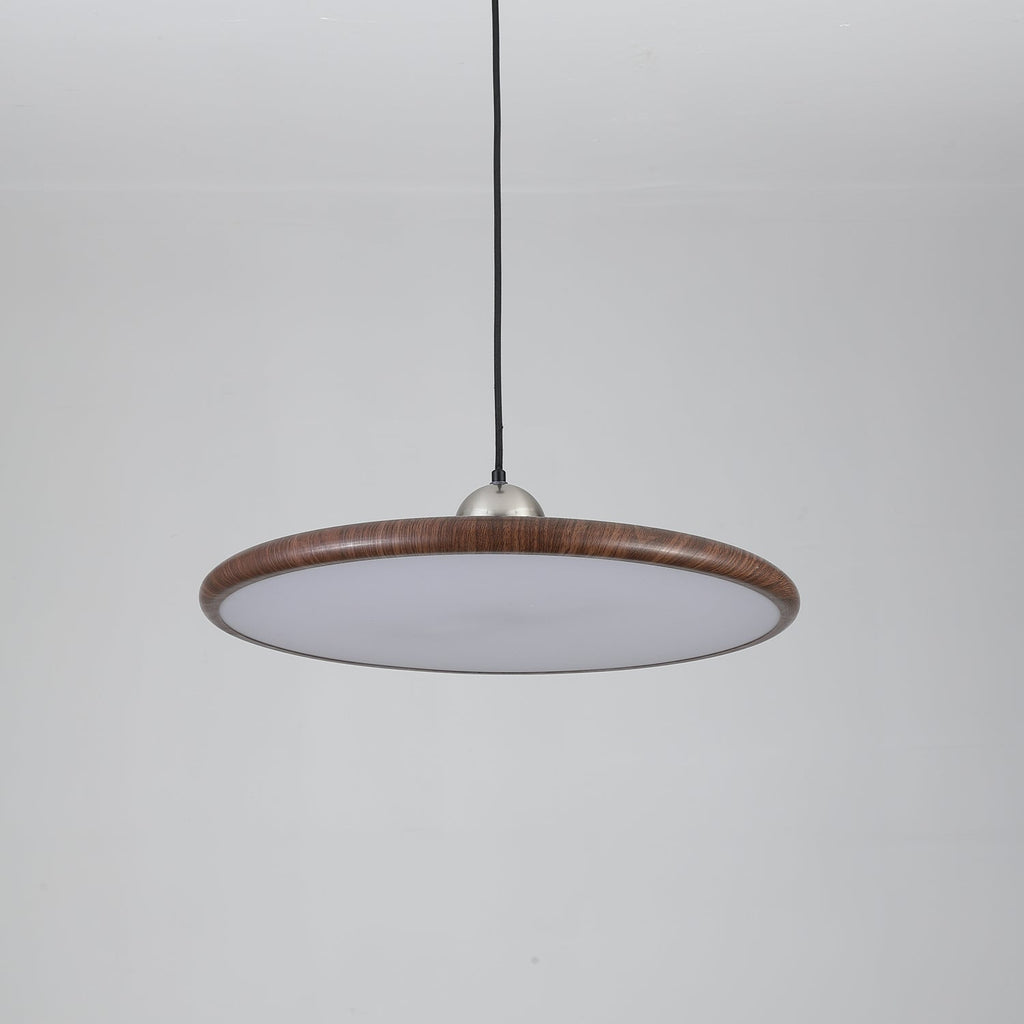 Corenelia Acrylic Pendant Light-Moonnatur